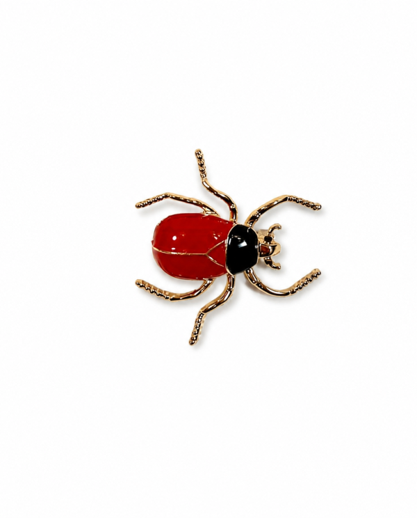 Prendedor insecto